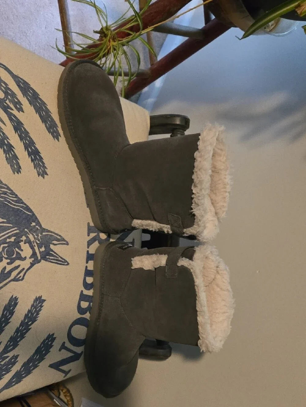 Koolaburra plush cream